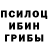 Галлюциногенные грибы Cubensis uyi imafidon