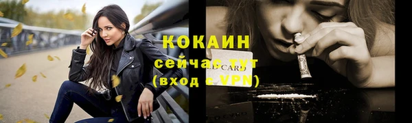 прущие грибы Сосновый Бор