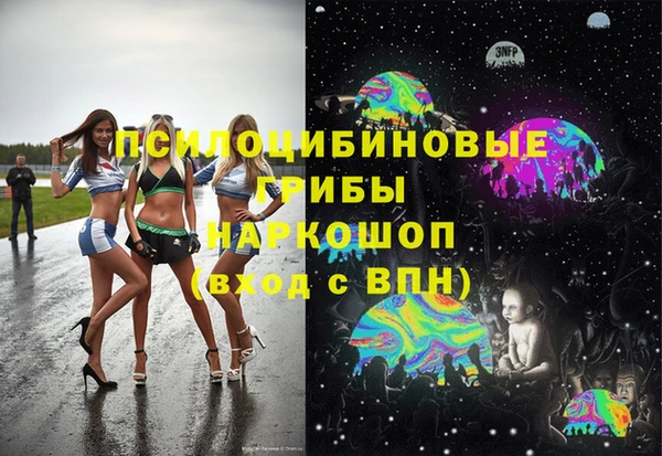 mdma Белокуриха