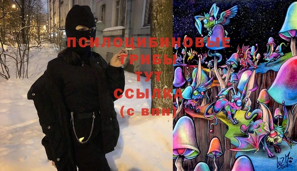 mdma Белокуриха