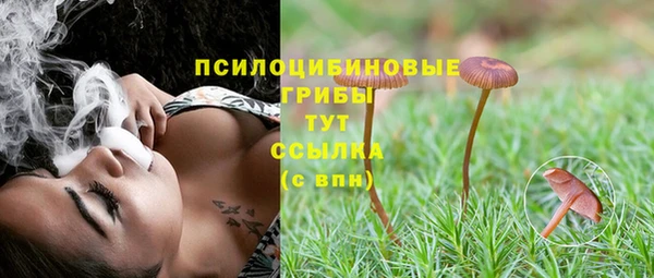 ГАЛЛЮЦИНОГЕННЫЕ ГРИБЫ Белоозёрский