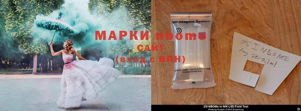 ГАЛЛЮЦИНОГЕННЫЕ ГРИБЫ Белоозёрский