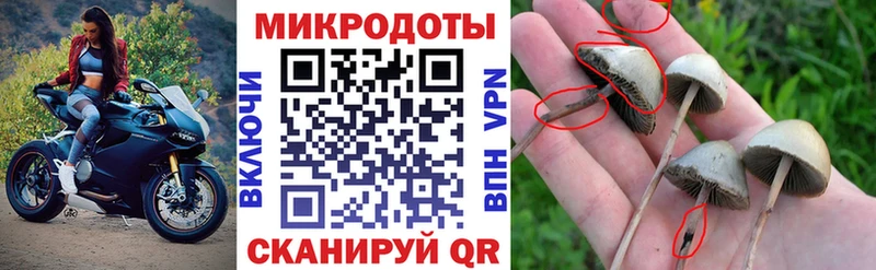 Галлюциногенные грибы MAGIC MUSHROOMS  МЕГА рабочий сайт  Пестово  где купить наркоту 